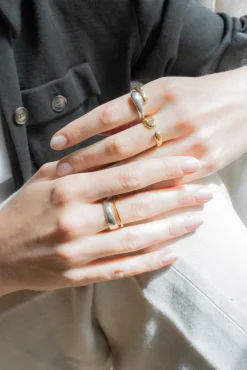Philippe Audibert Ring Eray Bicolore Best